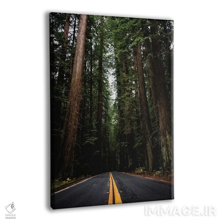 تابلو دکوراتیو جاده جنگلی، پارک ملی ردوود، کالیفرنیا اثر نیچر مجیک - نمای پرسپکتیو محصول