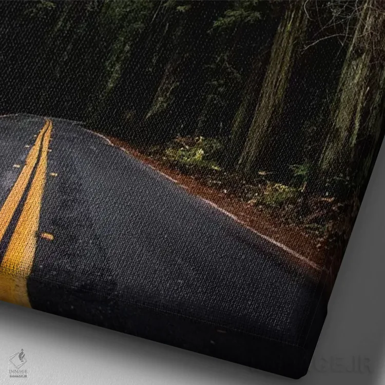 تابلو دکوراتیو جاده جنگلی، پارک ملی ردوود، کالیفرنیا اثر نیچر مجیک - نمای نزدیک بافت بوم