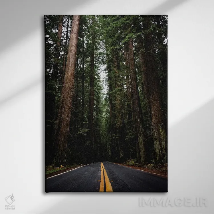 تابلو دکوراتیو جاده جنگلی، پارک ملی ردوود، کالیفرنیا اثر نیچر مجیک - نمای روبهرو روی دیوار