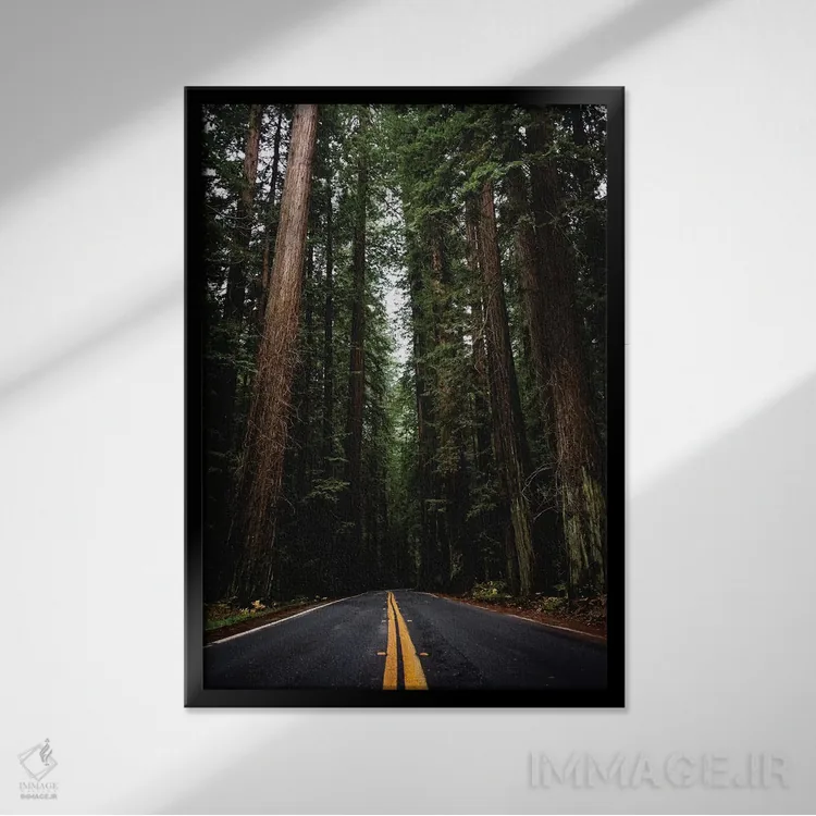 تابلو دکوراتیو جاده جنگلی، پارک ملی ردوود، کالیفرنیا اثر نیچر مجیک - نمای قابدار مشکی
