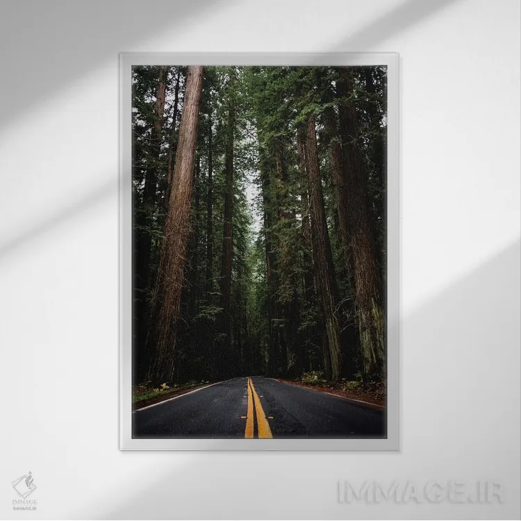تابلو دکوراتیو جاده جنگلی، پارک ملی ردوود، کالیفرنیا اثر نیچر مجیک - نمای قابدار سفید