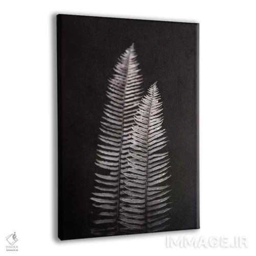 تابلو دکوراتیو سرخس فرنوه اثر نیچر مجیک - نمای پرسپکتیو محصول