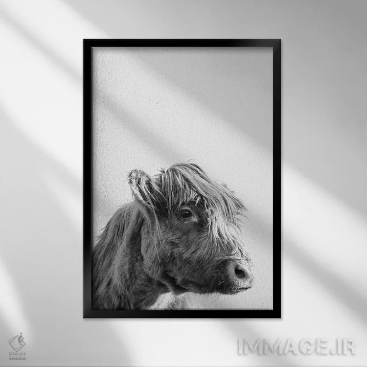 تابلو مدرن پرتره گاو کوهستانی اثر نیچر مجیک - نمای قابدار مشکی