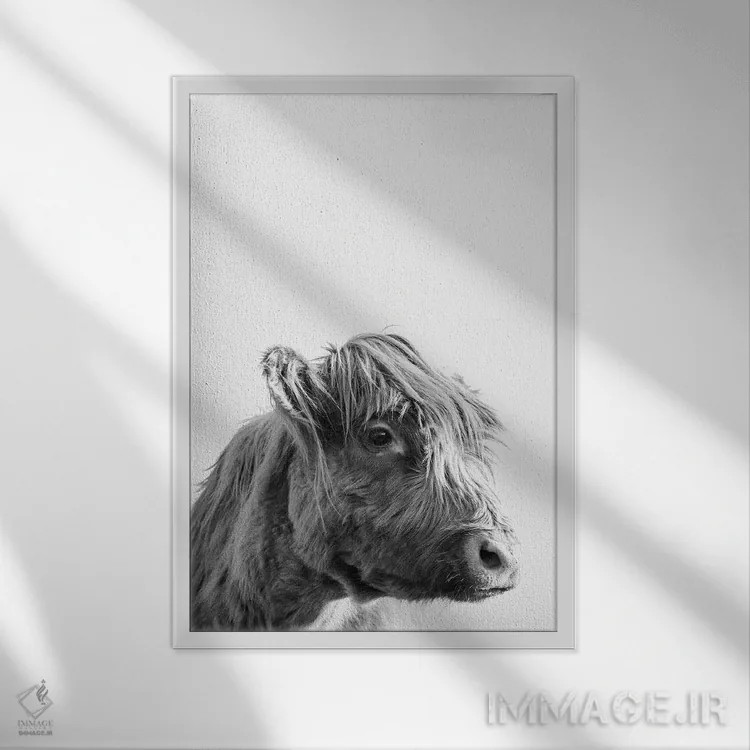 تابلو مدرن پرتره گاو کوهستانی اثر نیچر مجیک - نمای قابدار سفید