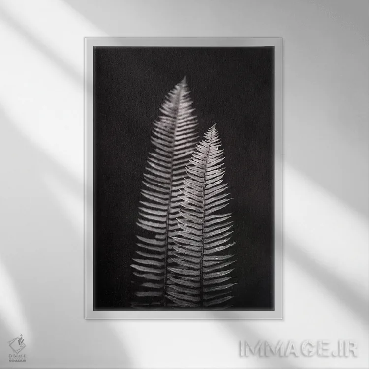 تابلو دکوراتیو سرخس فرنوه اثر نیچر مجیک - نمای قابدار سفید