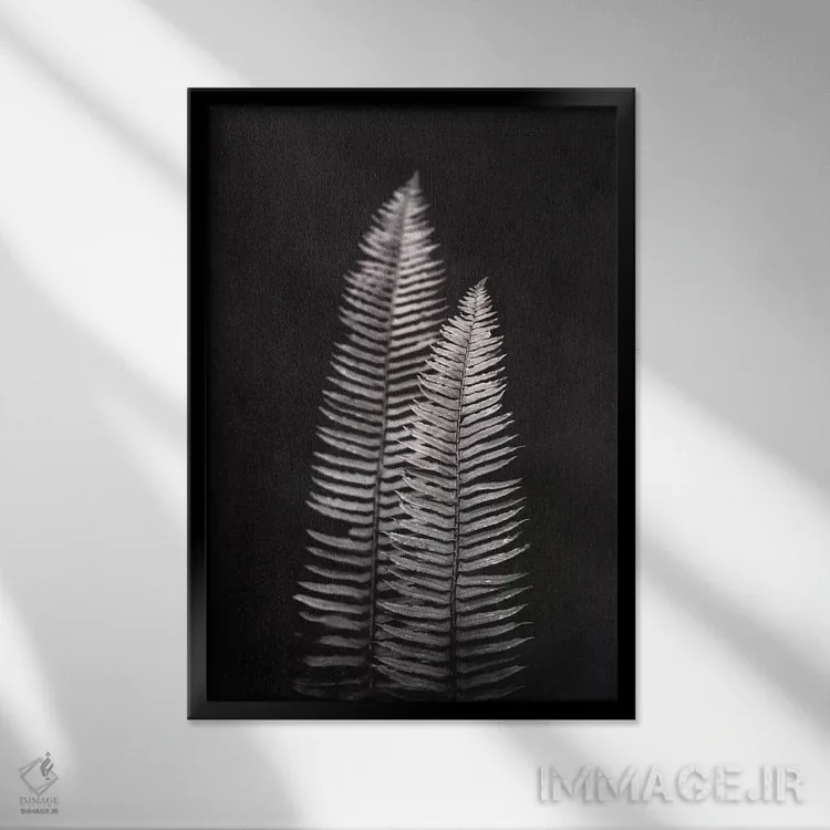 تابلو دکوراتیو سرخس فرنوه اثر نیچر مجیک - نمای قابدار مشکی