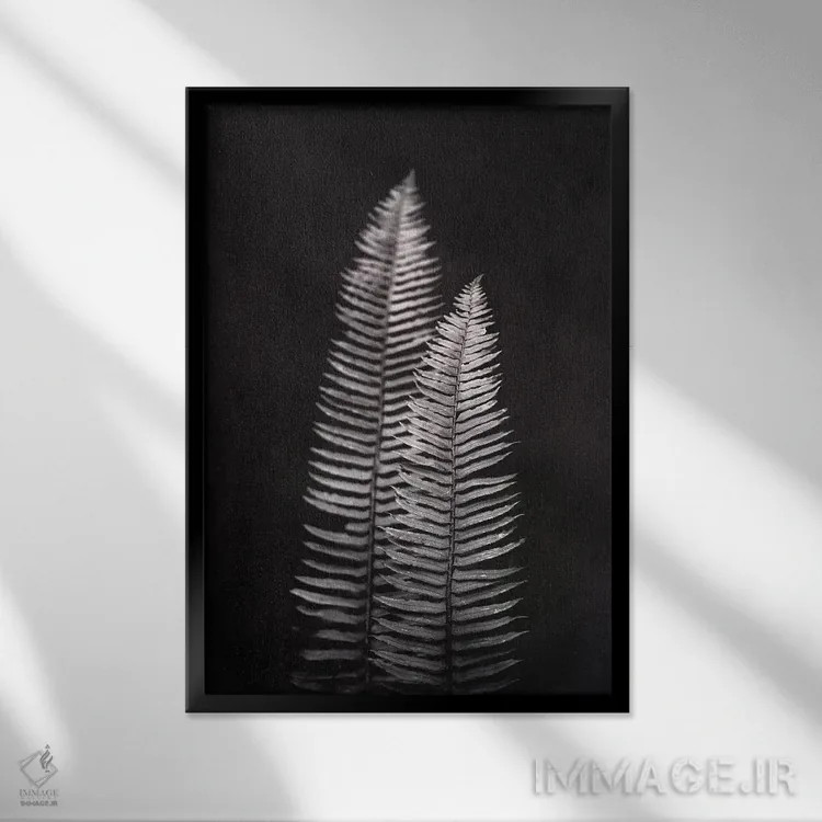 تابلو دکوراتیو سرخس فرنوه اثر نیچر مجیک - نمای قابدار مشکی