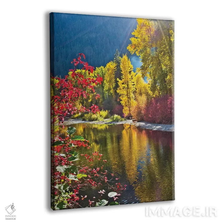 تابلو دکوراتیو Nason Creek Area, Wenatchee National Forest, Washington State… اثر میشل هرسن - نمای پرسپکتیو محصول