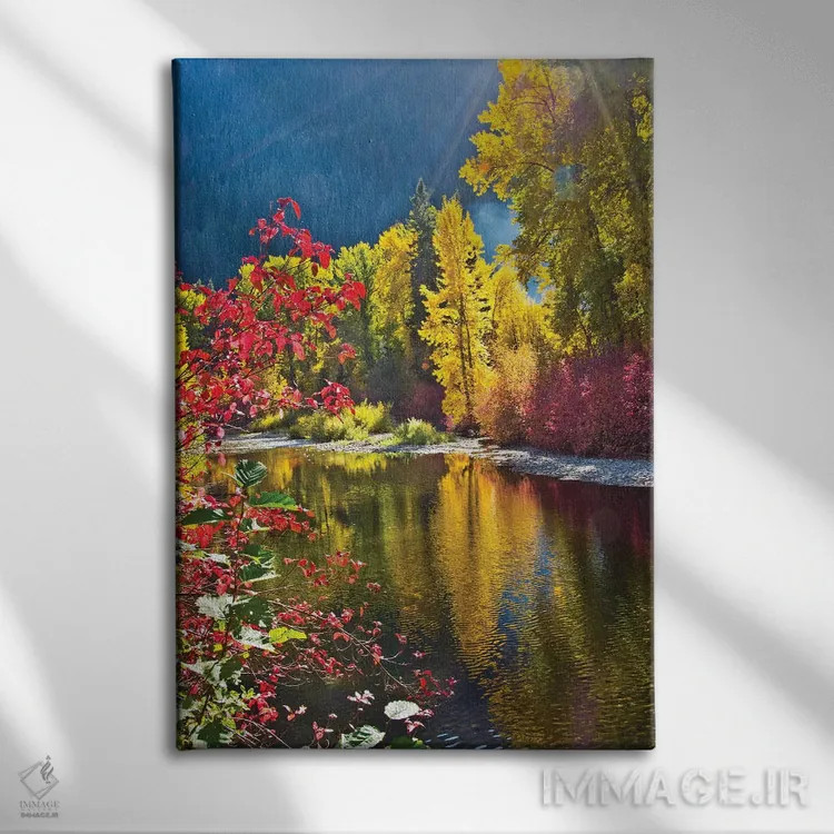 تابلو دکوراتیو Nason Creek Area, Wenatchee National Forest, Washington State… اثر میشل هرسن - نمای روبهرو روی دیوار