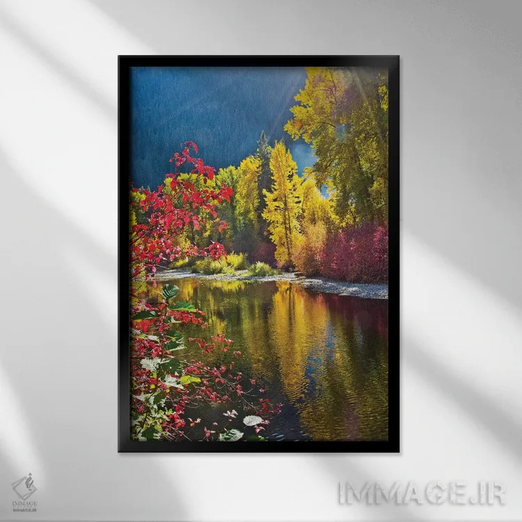 تابلو دکوراتیو Nason Creek Area, Wenatchee National Forest, Washington State… اثر میشل هرسن - نمای قابدار مشکی