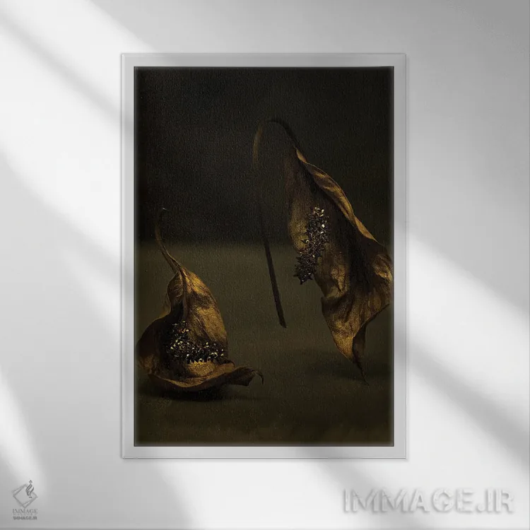 تابلو دکوراتیو گل اسپاتی فیلوم اثر مایکل فرانک - نمای قابدار سفید