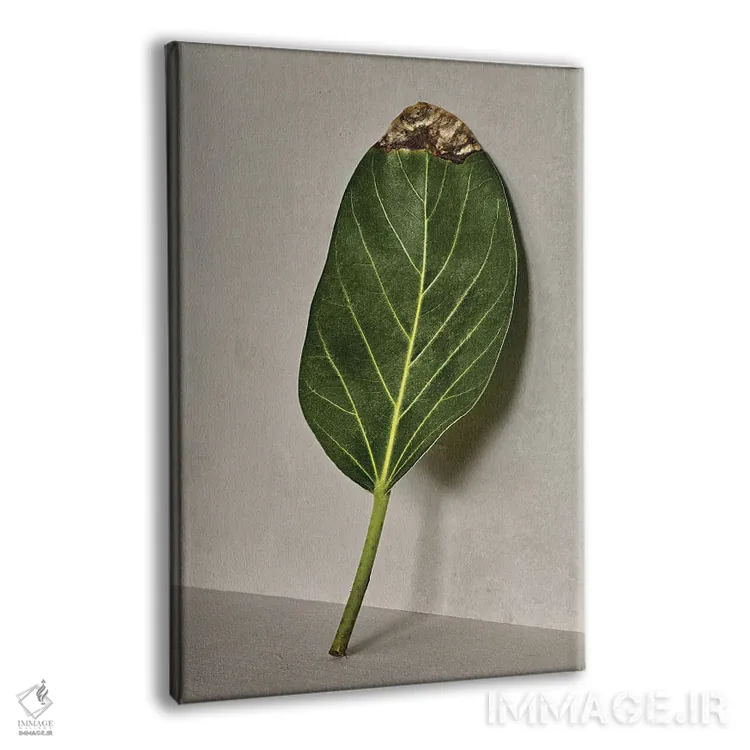 تابلو مینیمال من بی نقصم اثر مایکل فرانک - نمای پرسپکتیو محصول