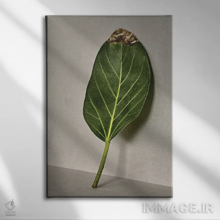 تابلو مینیمال من بی نقصم اثر مایکل فرانک - نمای روبهرو روی دیوار