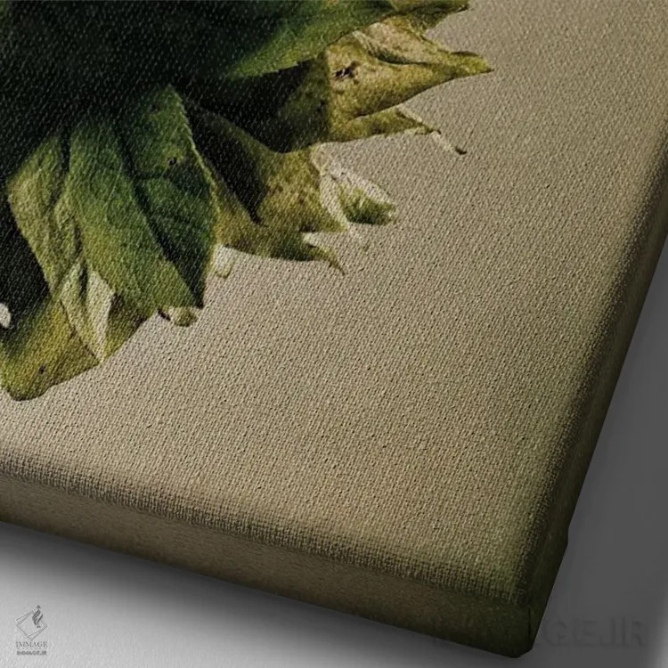 تابلو دکوراتیو گل خربق LXXIII اثر مایکل فرانک - نمای نزدیک بافت بوم