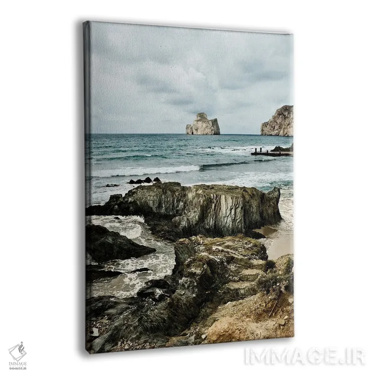 تابلو دکوراتیو ساردنیا II اثر مایکل فرانک - نمای پرسپکتیو محصول