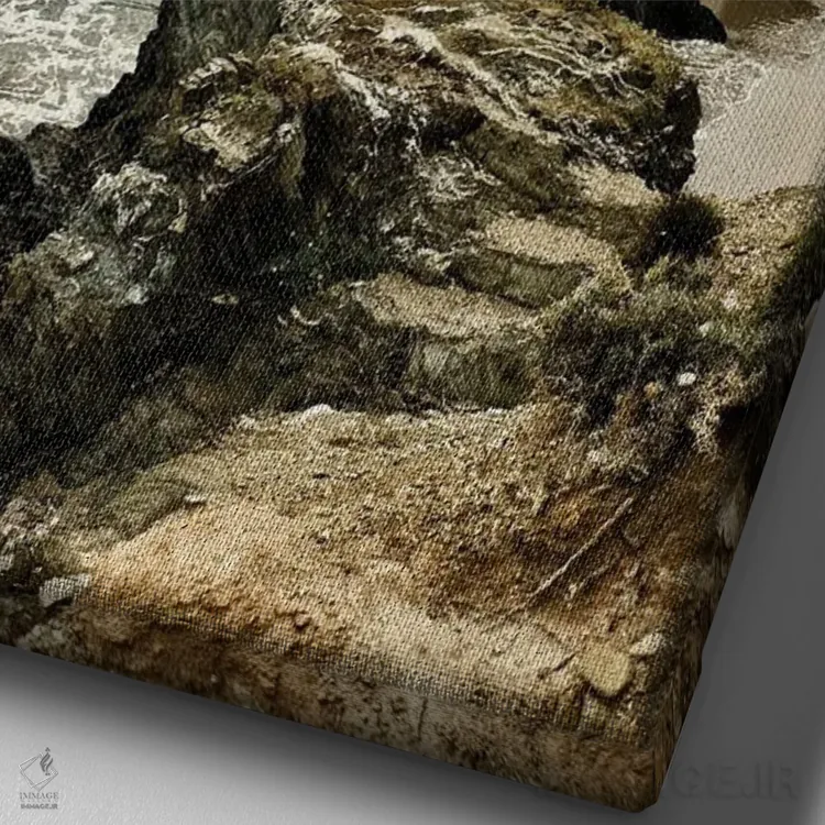 تابلو دکوراتیو ساردنیا II اثر مایکل فرانک - نمای نزدیک بافت بوم