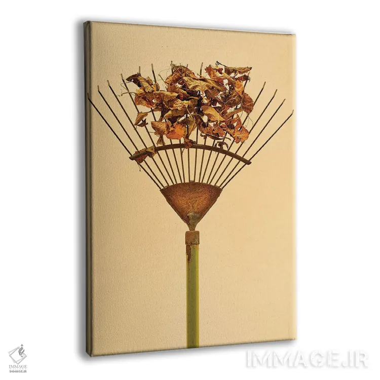 تابلو دکوراتیو چنگک اثر مایکل فرانک - نمای پرسپکتیو محصول