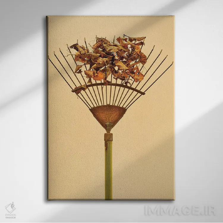 تابلو دکوراتیو چنگک اثر مایکل فرانک - نمای روبهرو روی دیوار