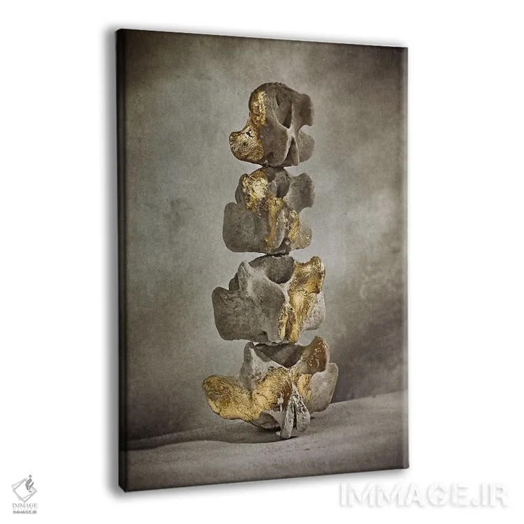 تابلو دکوراتیو آن استخوان های طلایی اثر مایکل فرانک - نمای پرسپکتیو محصول