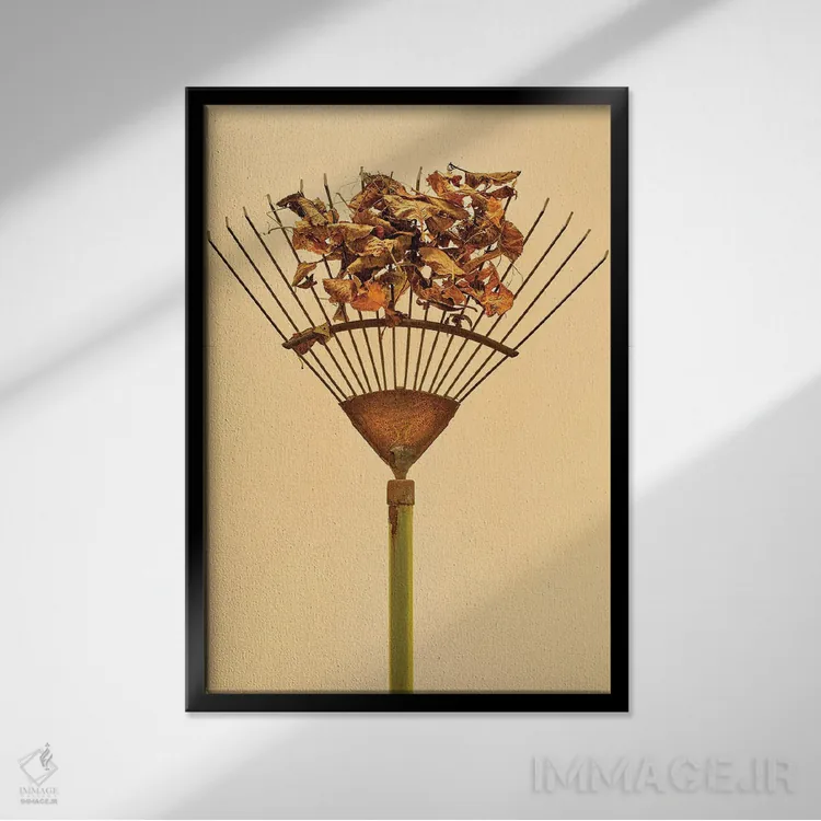 تابلو دکوراتیو چنگک اثر مایکل فرانک - نمای قابدار مشکی