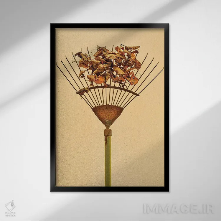تابلو دکوراتیو چنگک اثر مایکل فرانک - نمای قابدار مشکی