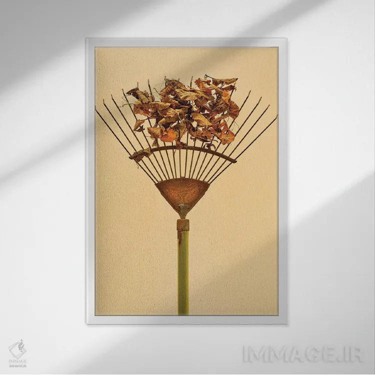 تابلو دکوراتیو چنگک اثر مایکل فرانک - نمای قابدار سفید