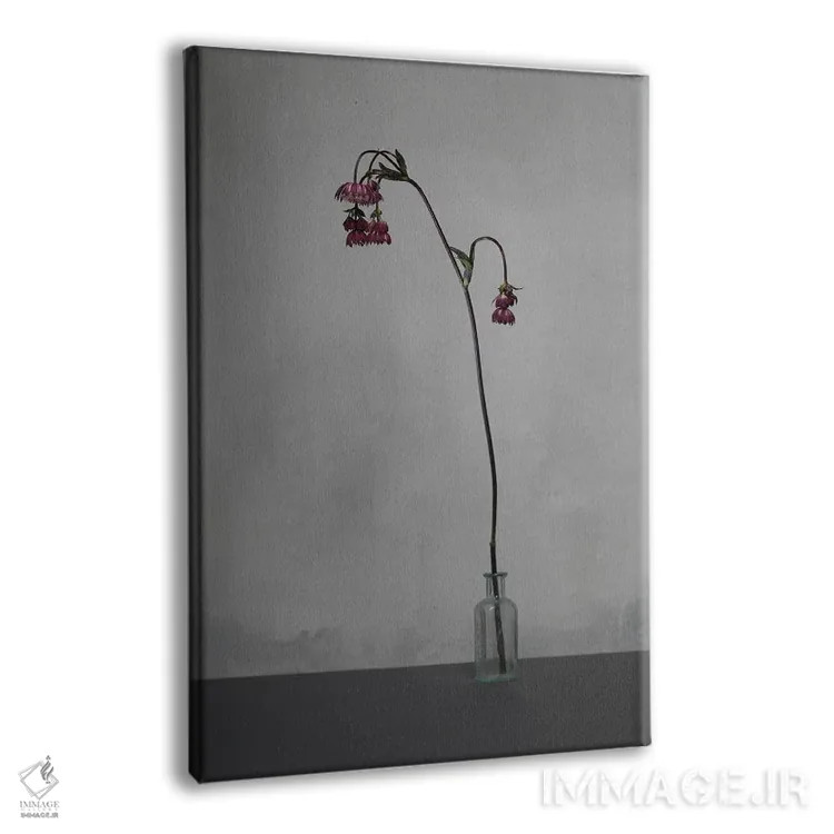 تابلو دکوراتیو سفید XVIII اثر مایکل فرانک - نمای پرسپکتیو محصول