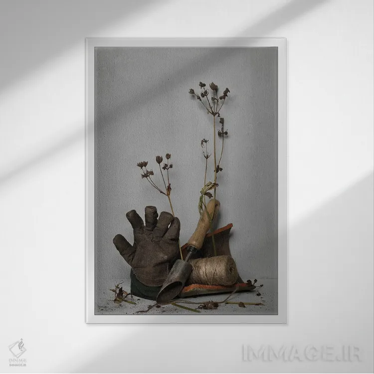 تابلو دکوراتیو سفید IX اثر مایکل فرانک - نمای قابدار سفید