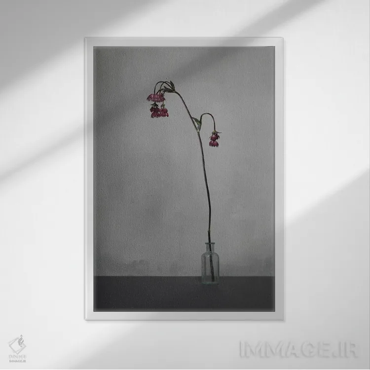 تابلو دکوراتیو سفید XVIII اثر مایکل فرانک - نمای قابدار سفید