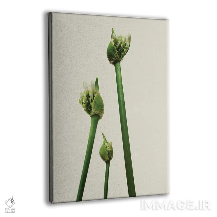 تابلو دکوراتیو سه آگاپانتوس اثر مایکل فرانک - نمای پرسپکتیو محصول