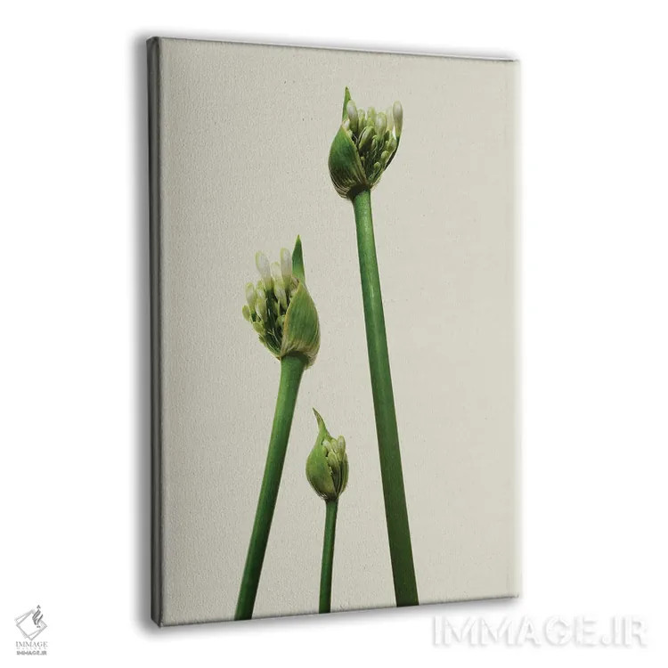 تابلو دکوراتیو سه آگاپانتوس اثر مایکل فرانک - نمای پرسپکتیو محصول