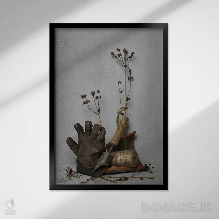 تابلو دکوراتیو سفید IX اثر مایکل فرانک - نمای قابدار مشکی