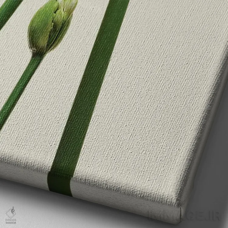 تابلو دکوراتیو سه آگاپانتوس اثر مایکل فرانک - نمای نزدیک بافت بوم