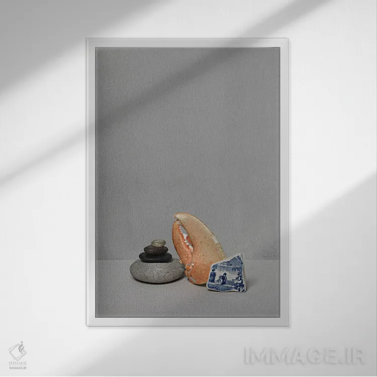 تابلو دکوراتیو سفید XVII اثر مایکل فرانک - نمای قابدار سفید
