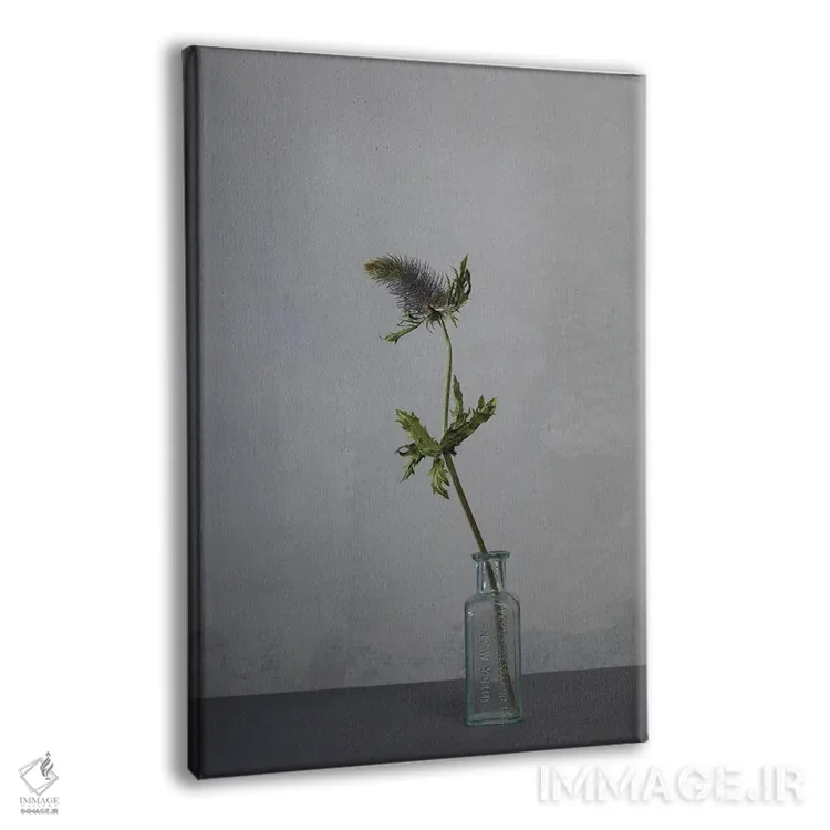 تابلو دکوراتیو سفید XXII اثر مایکل فرانک - نمای پرسپکتیو محصول