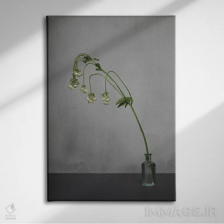 تابلو دکوراتیو سفید XIX اثر مایکل فرانک - نمای روبهرو روی دیوار