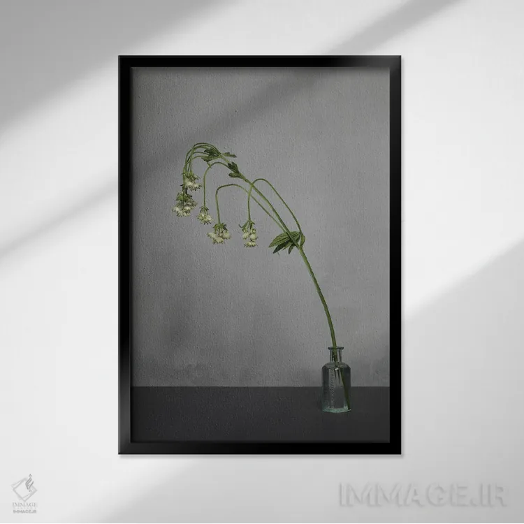 تابلو دکوراتیو سفید XIX اثر مایکل فرانک - نمای قابدار مشکی