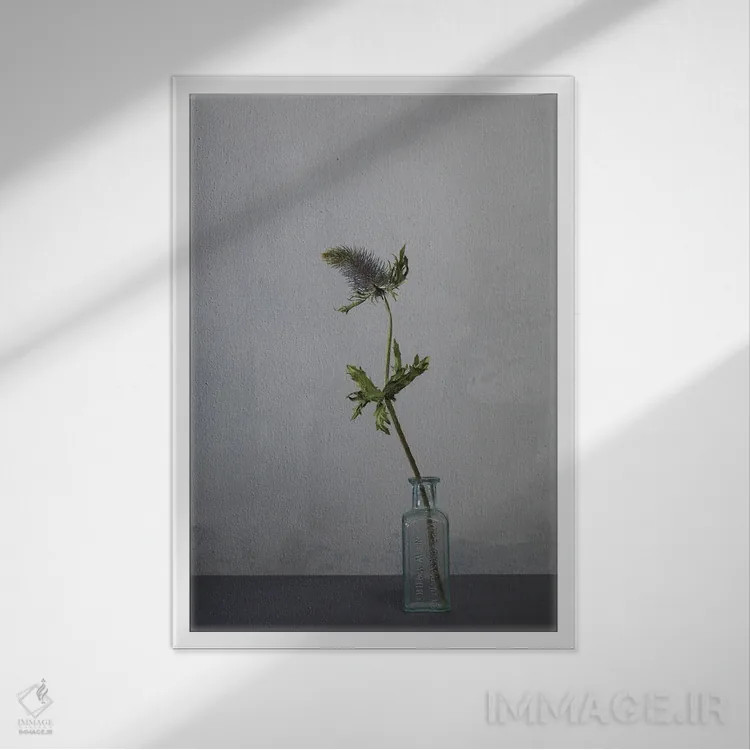 تابلو دکوراتیو سفید XXII اثر مایکل فرانک - نمای قابدار سفید