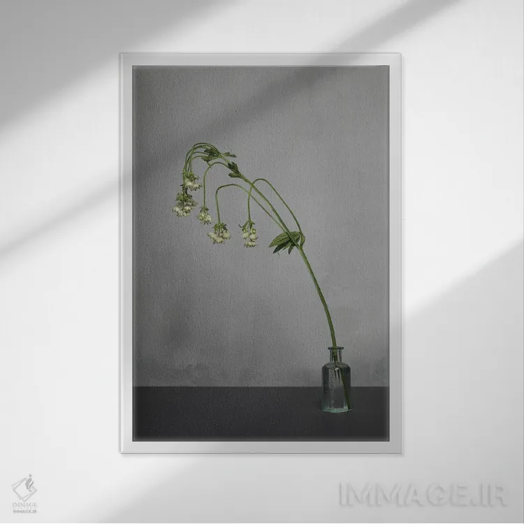 تابلو دکوراتیو سفید XIX اثر مایکل فرانک - نمای قابدار سفید