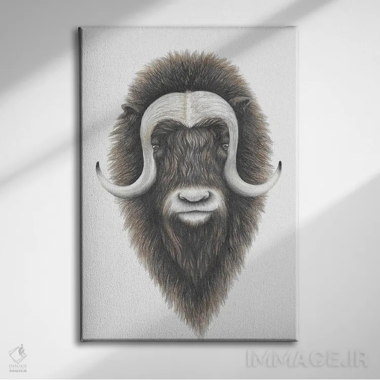 تابلو دکوراتیو گاو مشک اثر مندی هک - نمای روبهرو روی دیوار