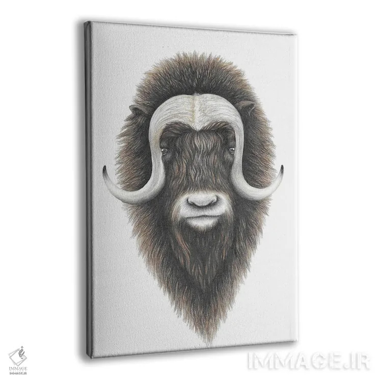 تابلو دکوراتیو گاو مشک اثر مندی هک - نمای پرسپکتیو محصول