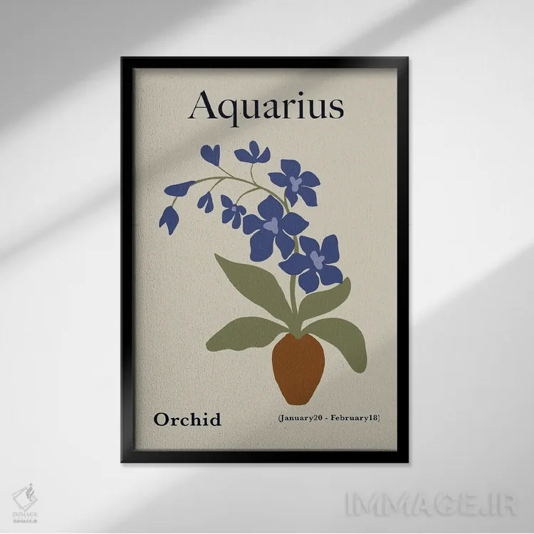 تابلو مینیمال "ارکیده دلو" اثر استودیو هنری میهو - نمای قابدار مشکی