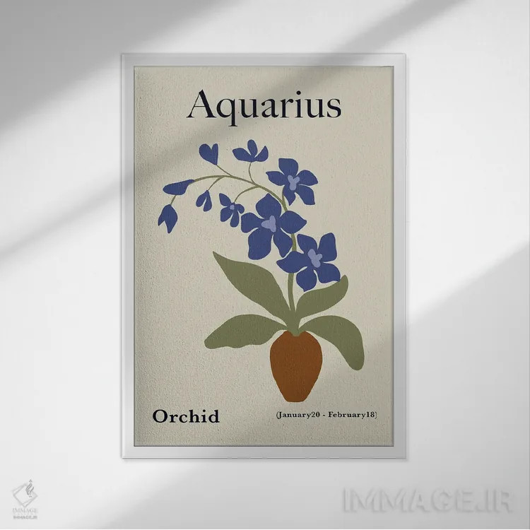 تابلو مینیمال "ارکیده دلو" اثر استودیو هنری میهو - نمای قابدار سفید