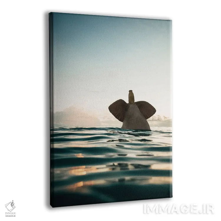 تابلو دکوراتیو فیل و سگ در دریا شنا می کنند اثر مایک کیف - نمای پرسپکتیو محصول