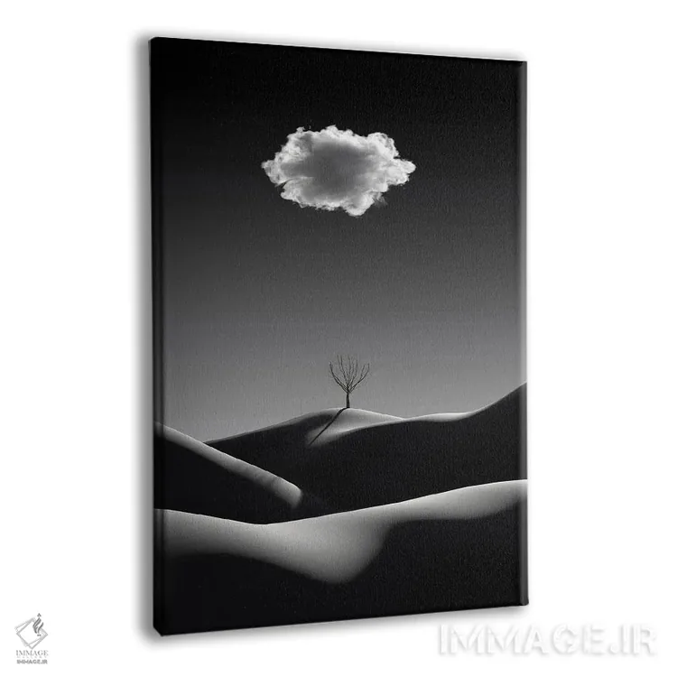 تابلو مینیمال منظره مینیمالیستی سیاه و سفید با ابر سفید اثر مایک کیف - نمای پرسپکتیو محصول