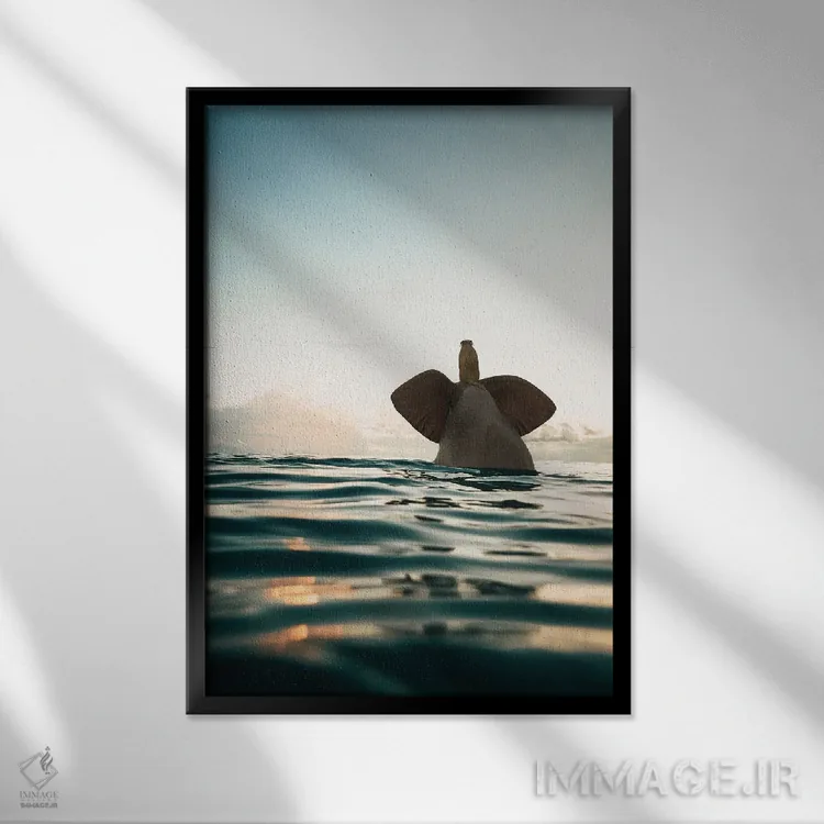 تابلو دکوراتیو فیل و سگ در دریا شنا می کنند اثر مایک کیف - نمای قابدار مشکی