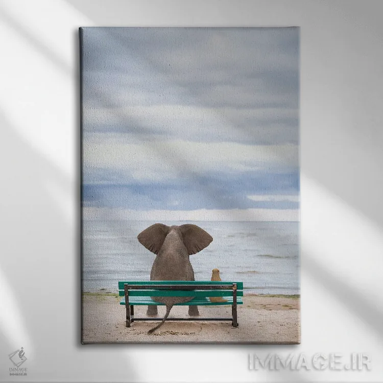 تابلو دکوراتیو فیل و سگ روی نیمکت کنار دریا نشسته اند ۲ اثر مایک کیف - نمای روبهرو روی دیوار