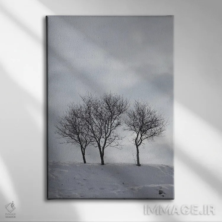 تابلو دکوراتیو سه درخت بدون برگ روی تپه ای برفی اثر مایک کیف - نمای روبهرو روی دیوار
