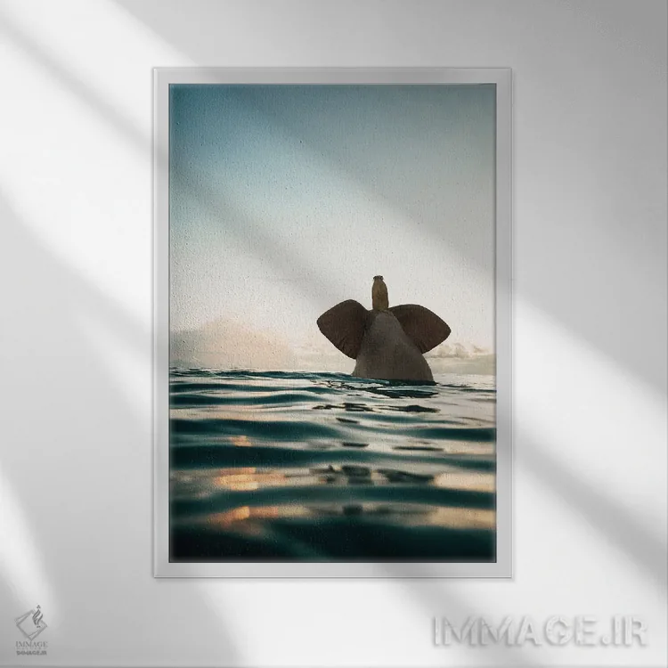 تابلو دکوراتیو فیل و سگ در دریا شنا می کنند اثر مایک کیف - نمای قابدار سفید