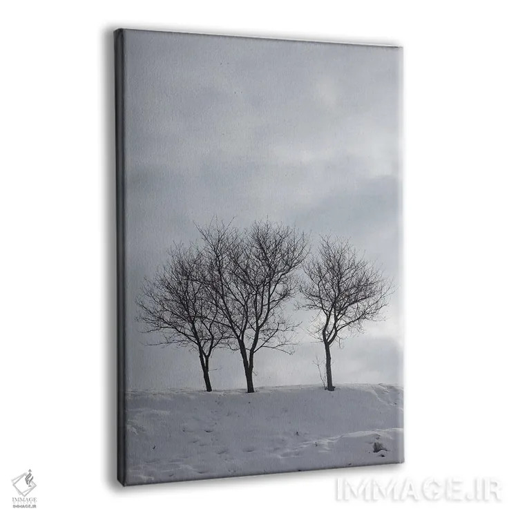 تابلو دکوراتیو سه درخت بدون برگ روی تپه ای برفی اثر مایک کیف - نمای پرسپکتیو محصول